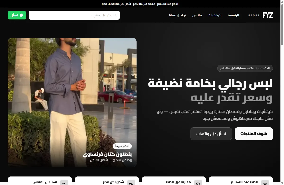 FYZ STORE website preview